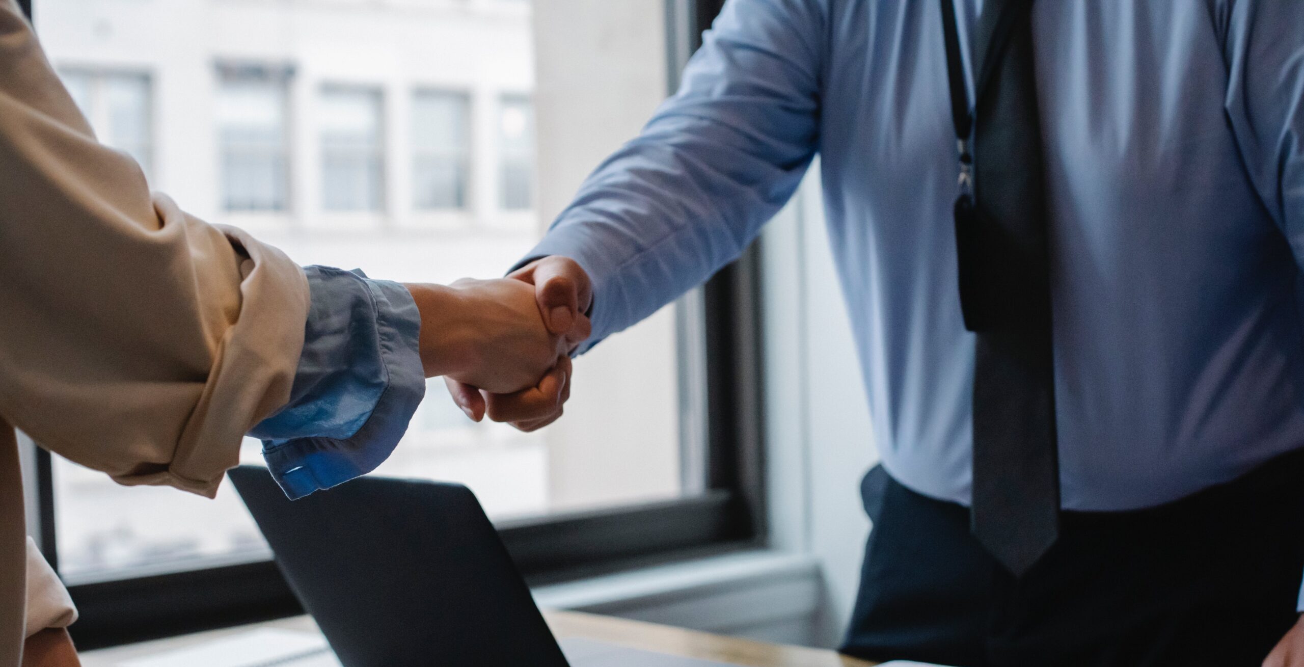 Two people shake hands to make a deal.